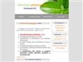 http://www.palyazat-iro.hu ismertető oldala