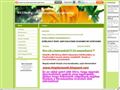 http://netbeteg.eoldal.hu ismertető oldala